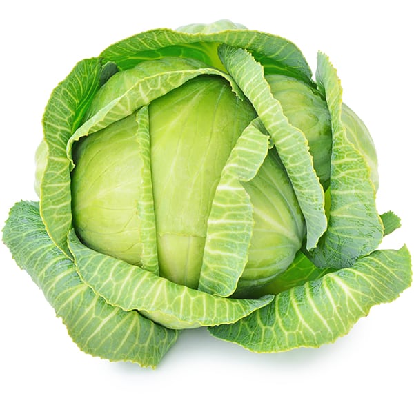 Fresh green cabbage isolated on white background.