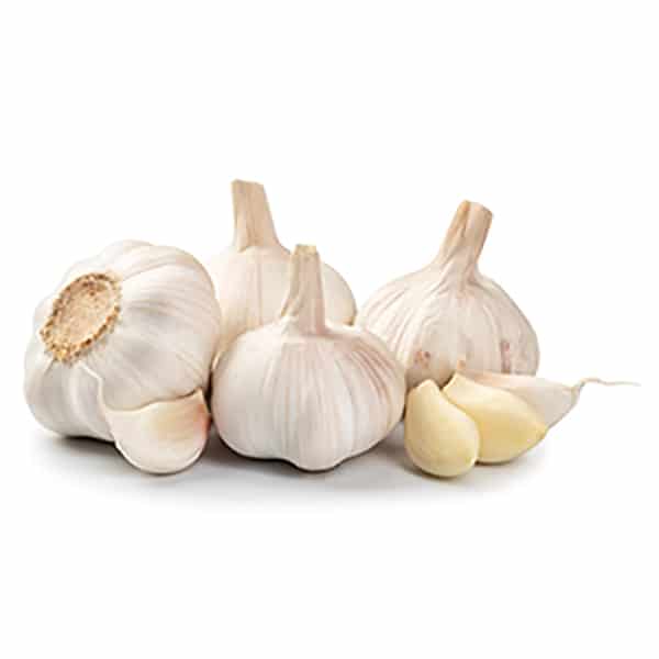 garlic isolated on a white background.