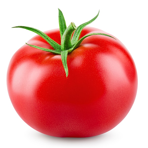 tomato isolated.
